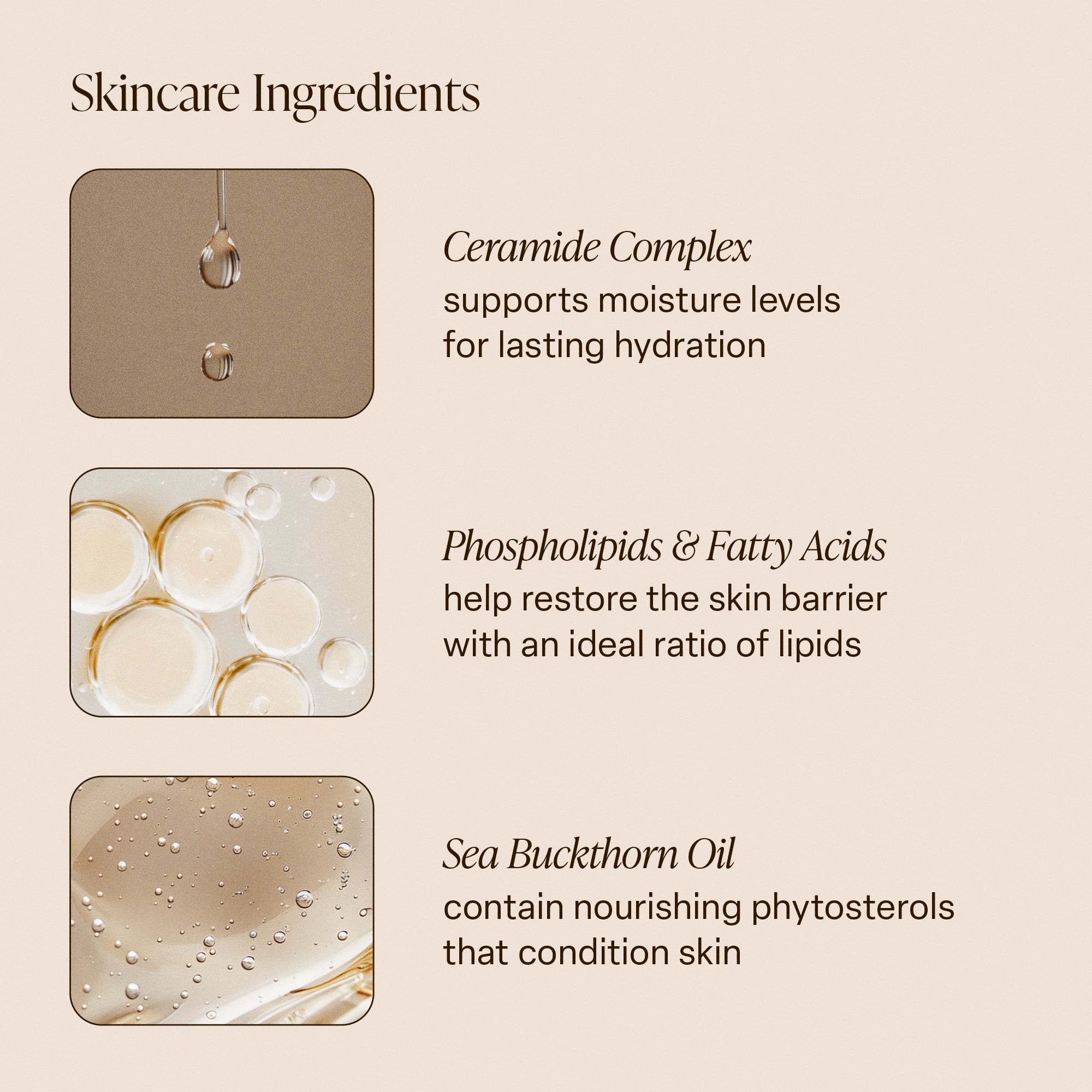 Saltair Salt Water Vanilla - Body Butter