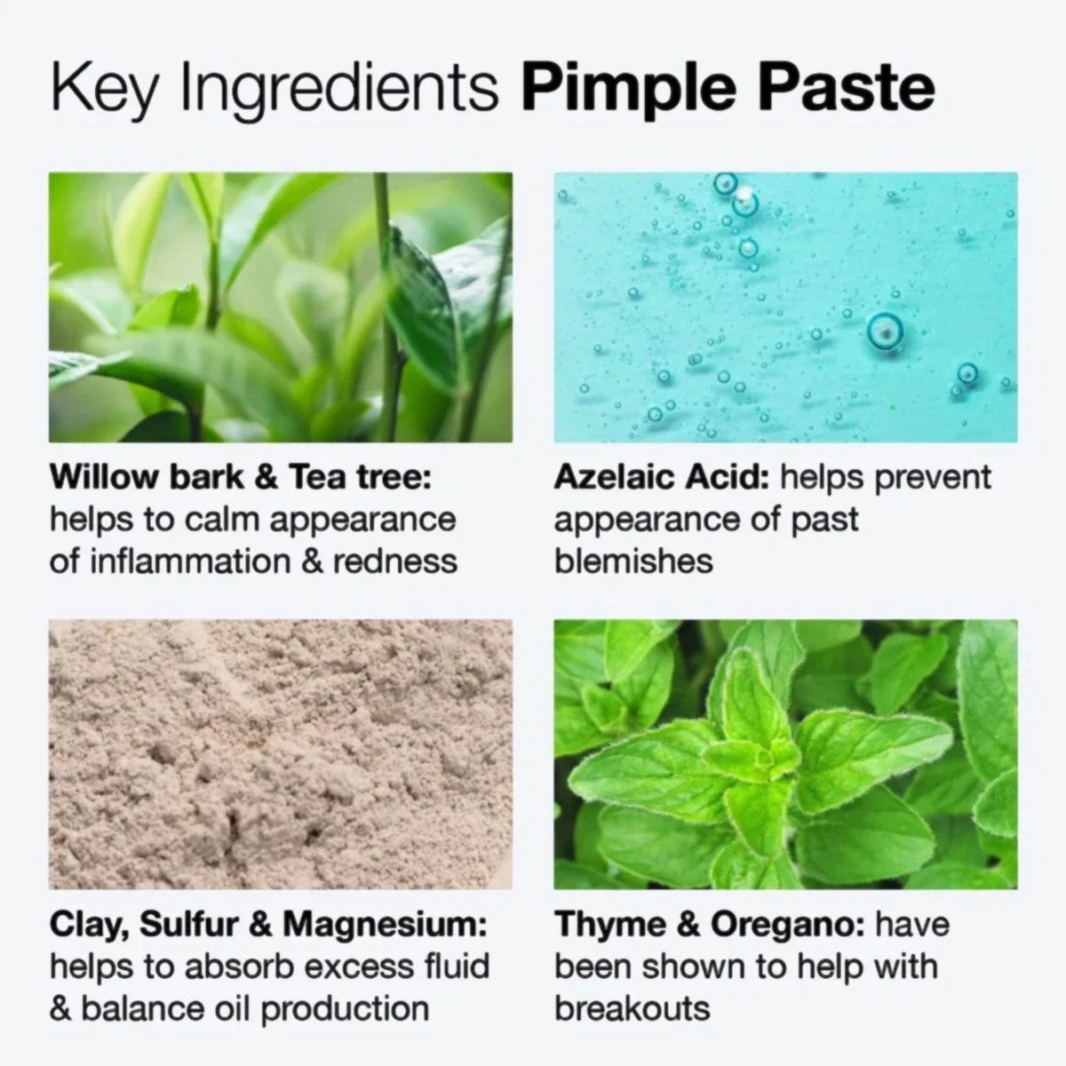 iNNBEAUTY PROJECT Pimple Paste 14.5 g, infografika z listą kluczowych składników | Ellemania