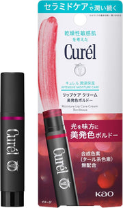 Curél Moisture Care Lip Care Cream